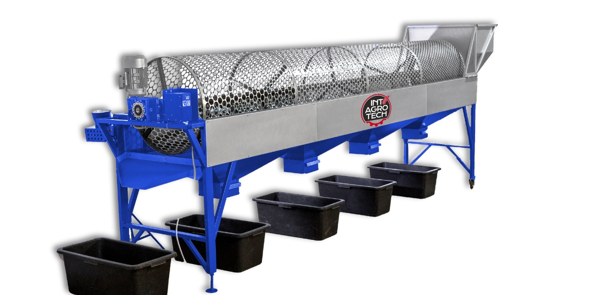 Роторний калібратор волоського горіха (4 фракції)